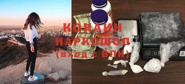 твердый Магас
