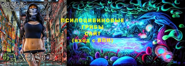 твердый Магас