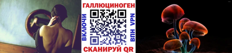 купить наркотик  Дербент  Псилоцибиновые грибы Psilocybine cubensis 