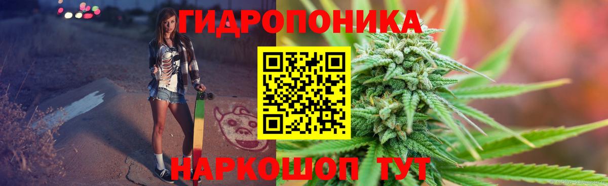 Канабис семена Дербент
